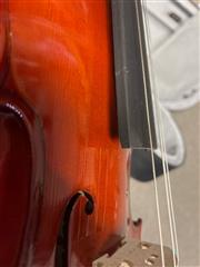 MAPLE LEAF STRINGS MLS110VN4/4